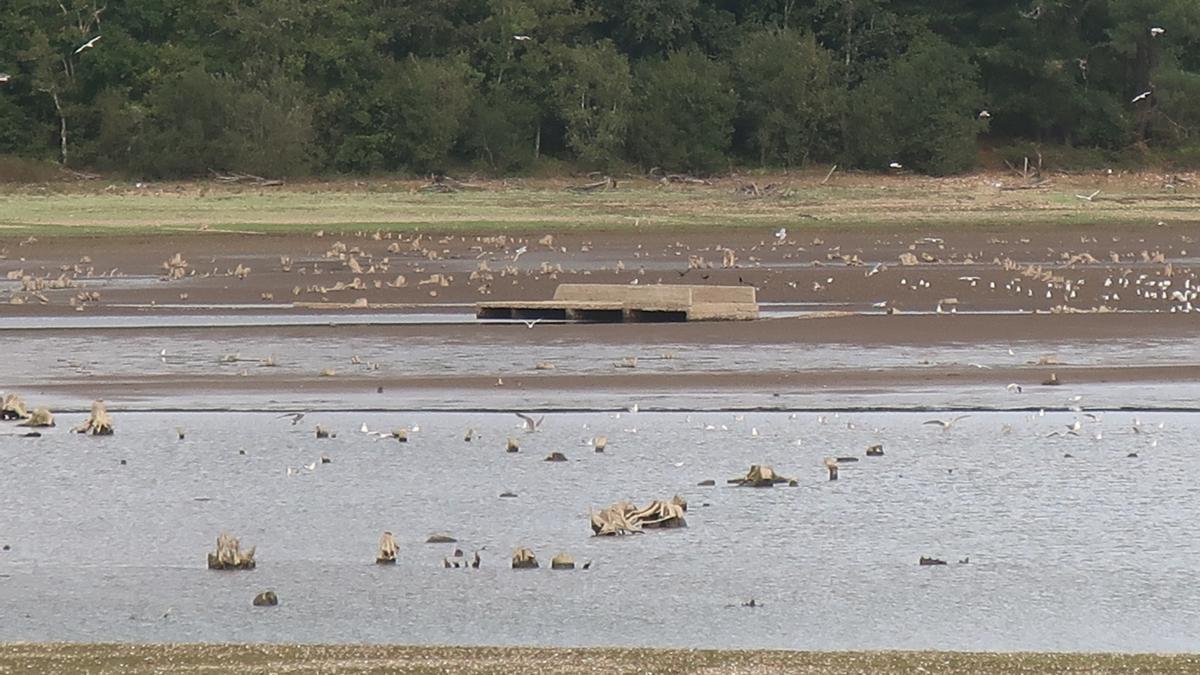 El embalse de Cecebre al 38% de su capacidad debido a la sequía.