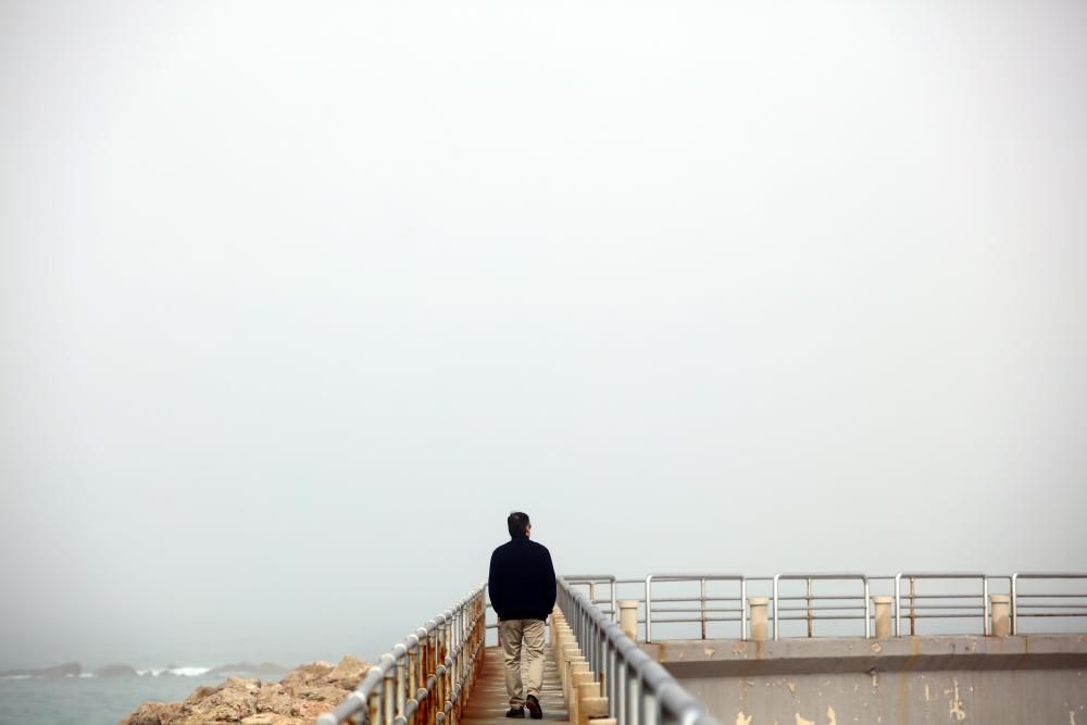 Palma amanece cubierta por la niebla