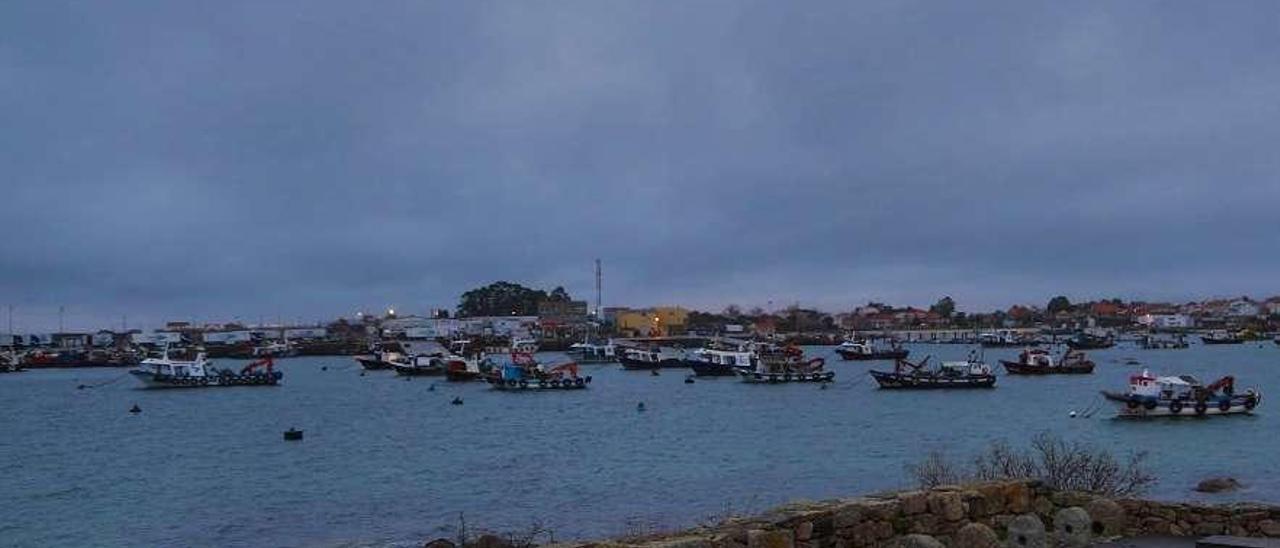 Barcos bateeiros fondeados en la ensenada a causa de la falta de espacio en el dique actual. // Muñiz