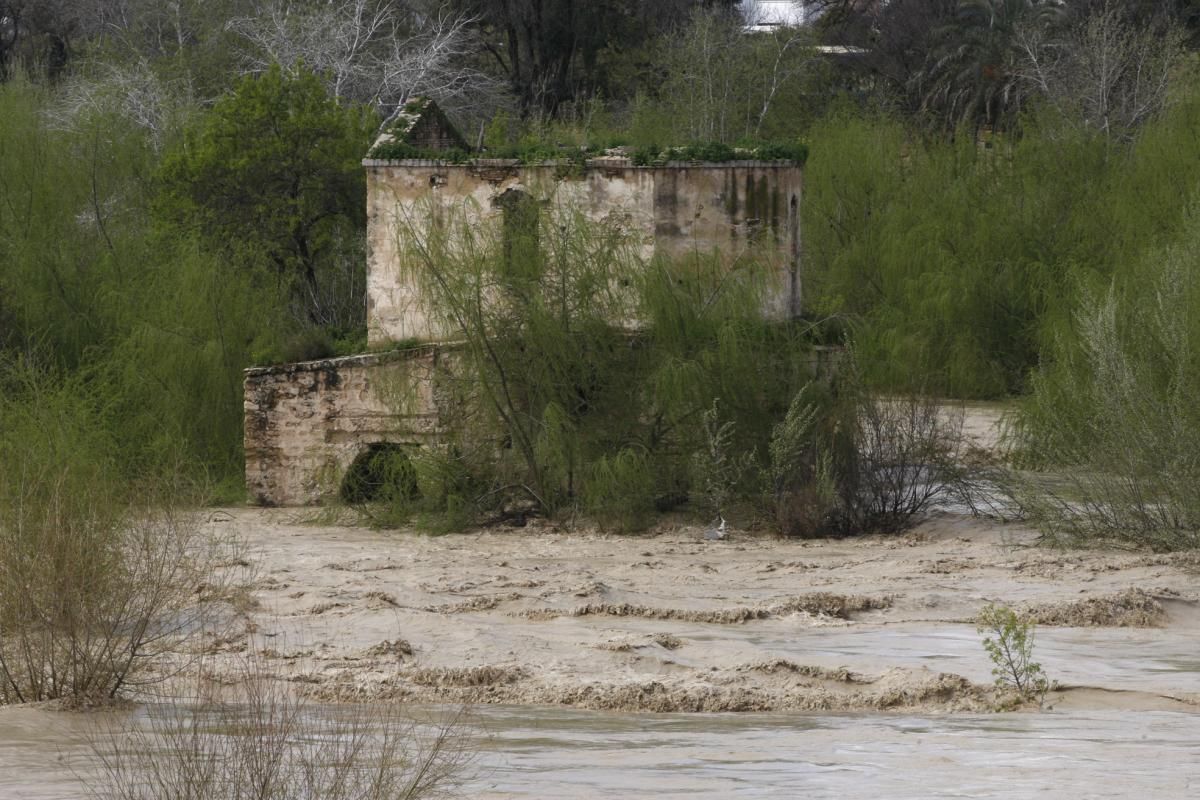 Córdoba, pendiente de la crecida del Guadalquivir