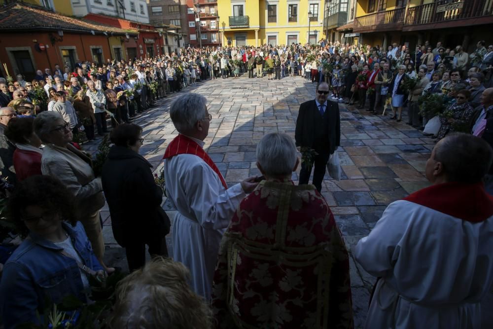 Domingo de Ramos en Avilés