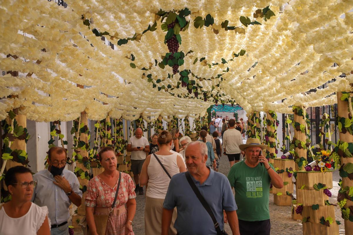 Fotogalería | Campo Maior se engalana con flores hasta el próximo domingo Fotogalería | Campo Maior se engalana con flores hasta el próximo domingo