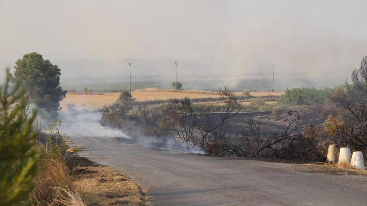 Incendio en Moratalla.
