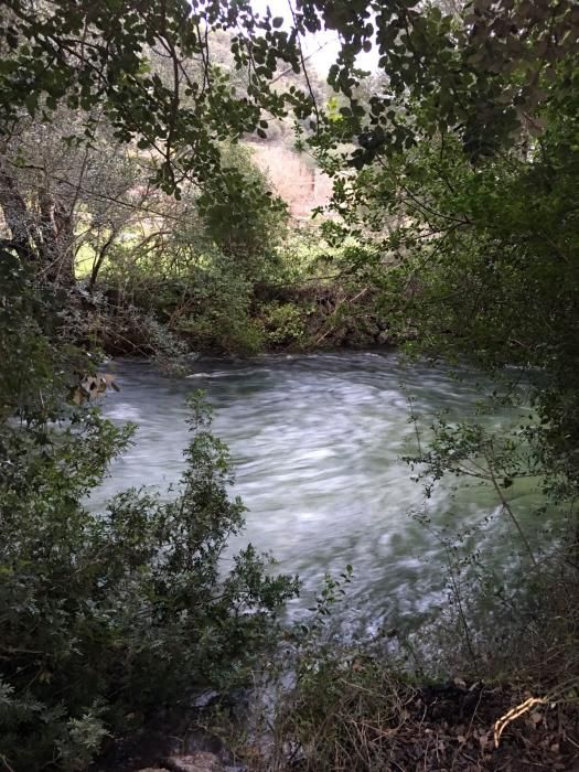 El torrente de Campanet, al máximo de su caudal