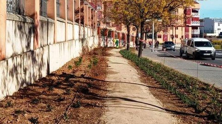 Imagen la zona ajardinada en el entorno del Infanta Isabel en Cáceres.