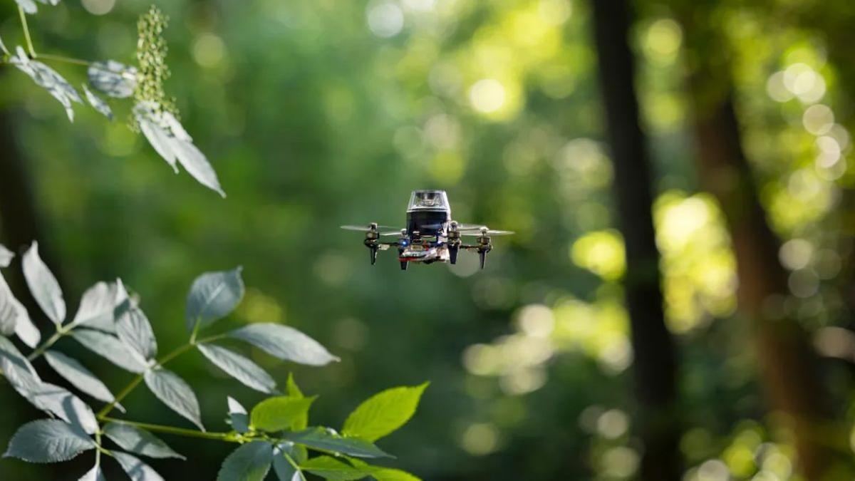 Los diminutos drones solo pueden transportar procesadores muy pequeños con poca potencia y memoria. Por eso se requieren nuevas soluciones para optimizar la navegación autónoma.