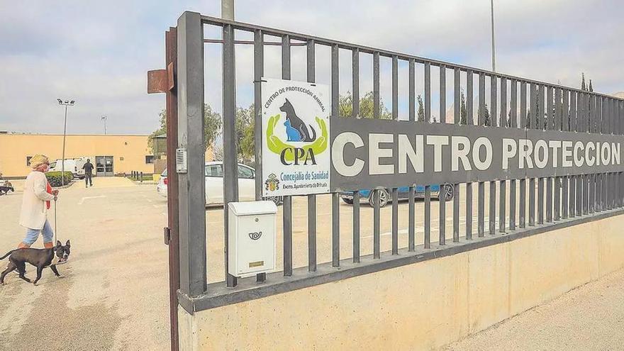 Orihuela adjudica la gestión del Centro de Protección Animal por 778.392 durante tres años