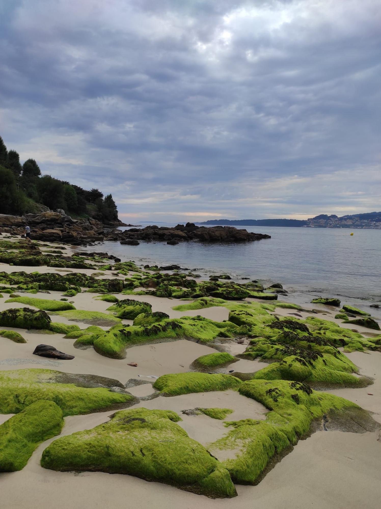 Pontevedra esconde cientos de playas preciosas, pero esta es uno de sus mayores secretos