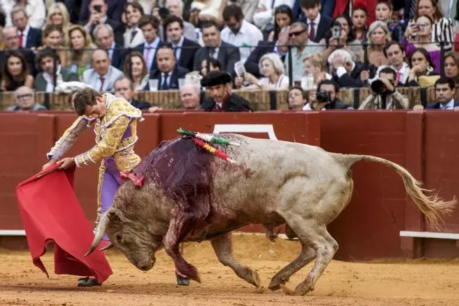Las mejores imágenes del decimotercer festejo de abono en La Maestranza