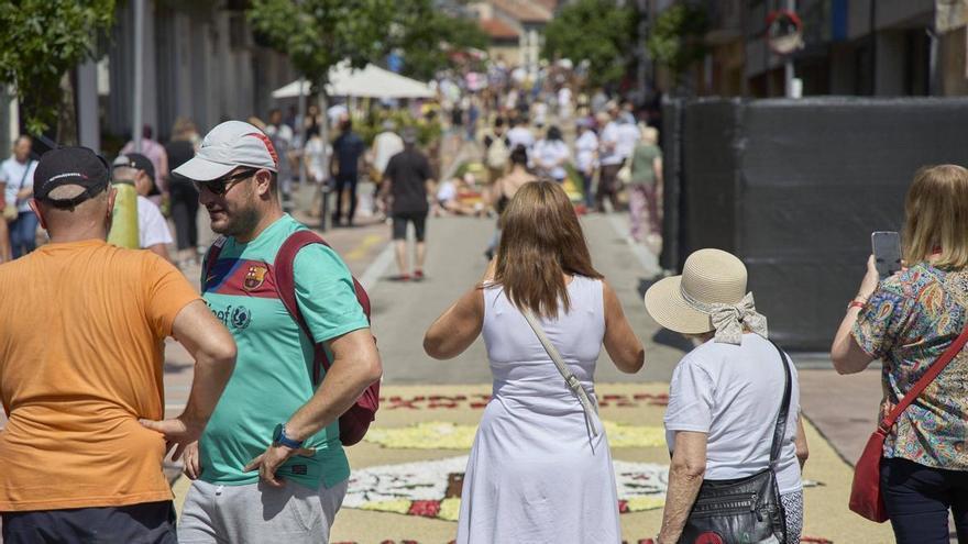 Les catifes d'Arbúcies en imatges