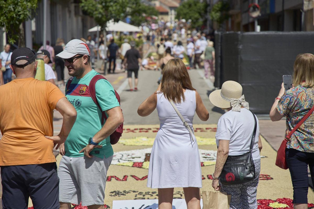 Les catifes d'Arbúcies en imatges