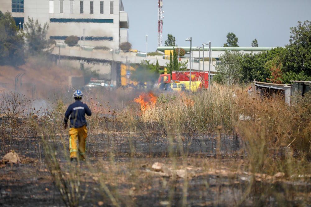 Brand am Kloster La Real im Norden von Palma