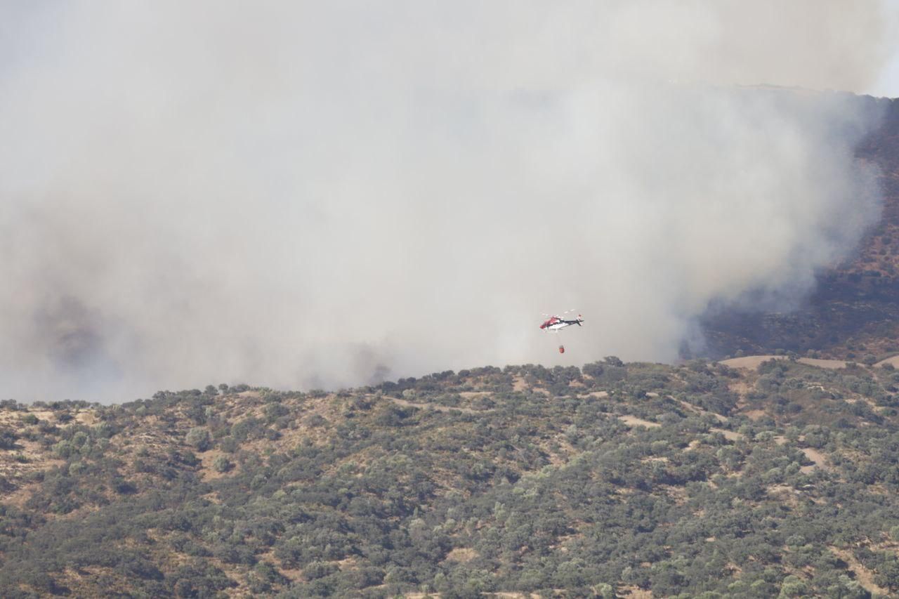 Incendio forestal en Cerro Muriano