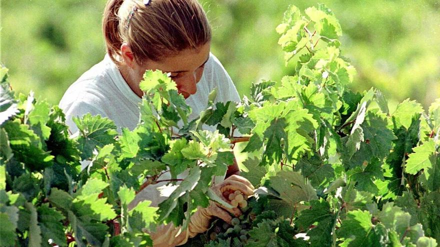 &quot;Aquí la Tierra&quot; vuelve a Zamora: un pueblo de 40 habitantes, el motivo