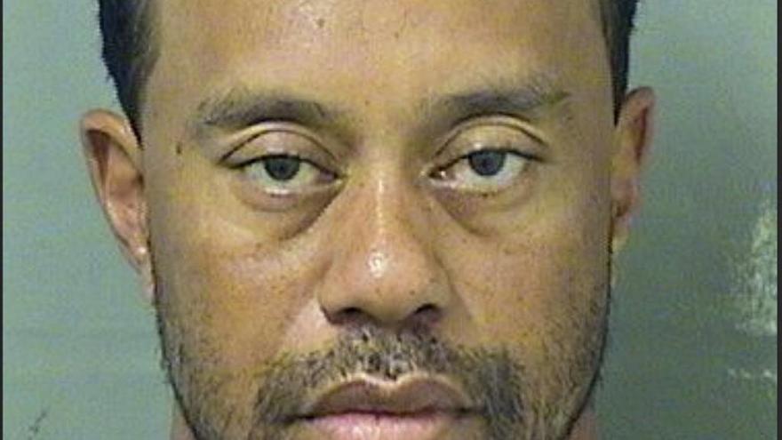 Tiger Woods, tras su detención.