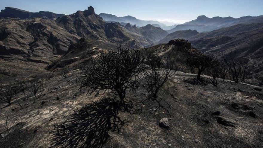 Extinguido el primero de los tres incendios declarados en Gran Canaria
