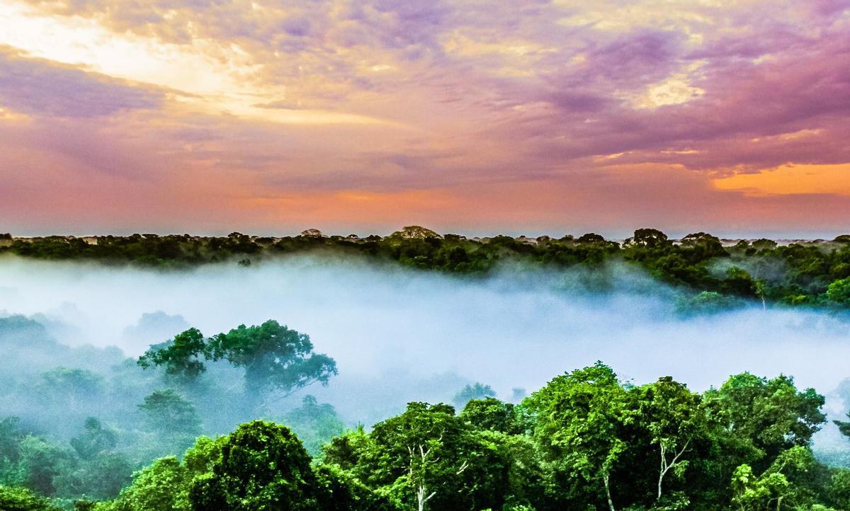 Atardecer en el Amazonas