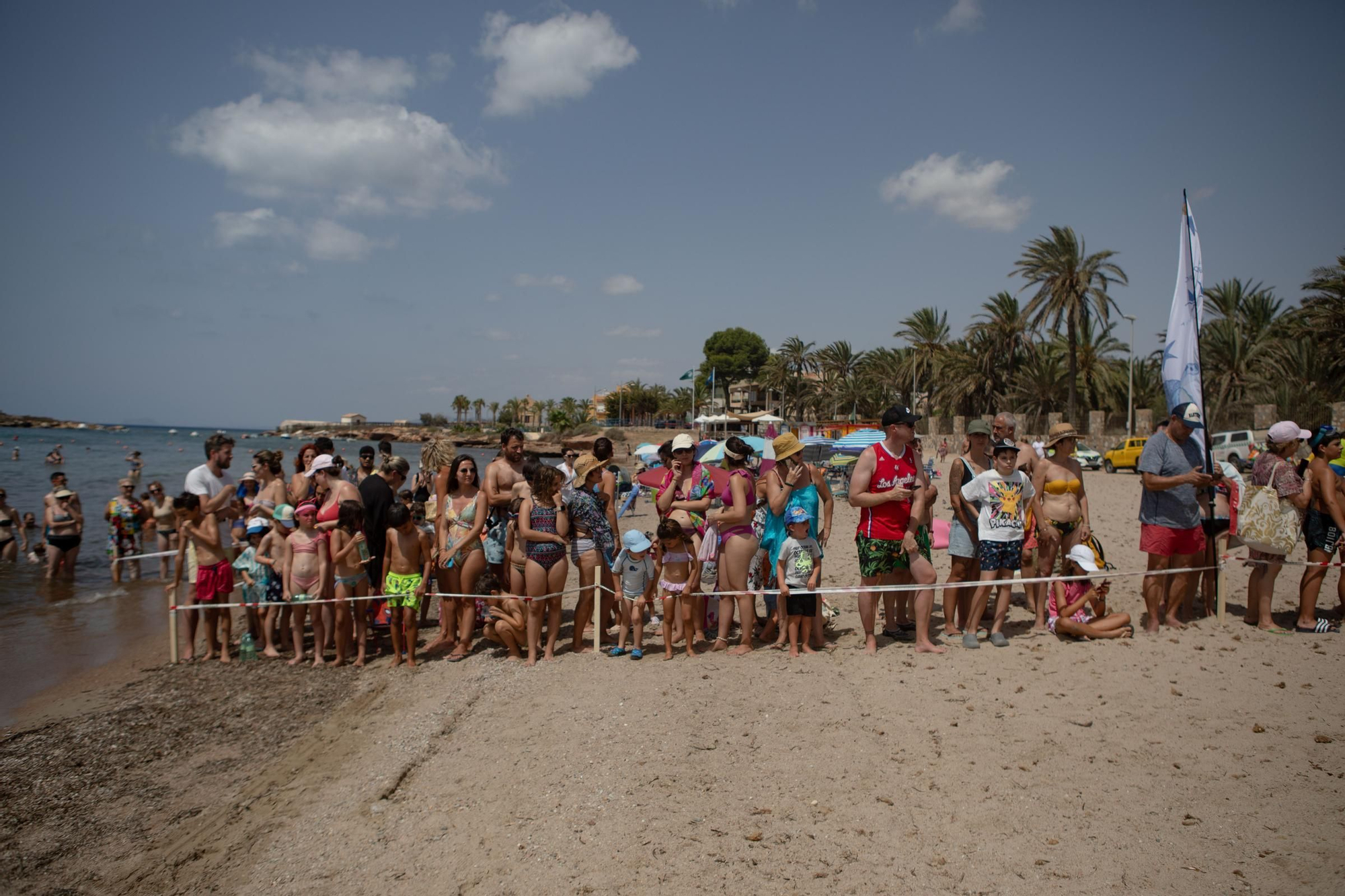 Sueltan 21 tortugas bobas en su hábitat natural en Isla Plana