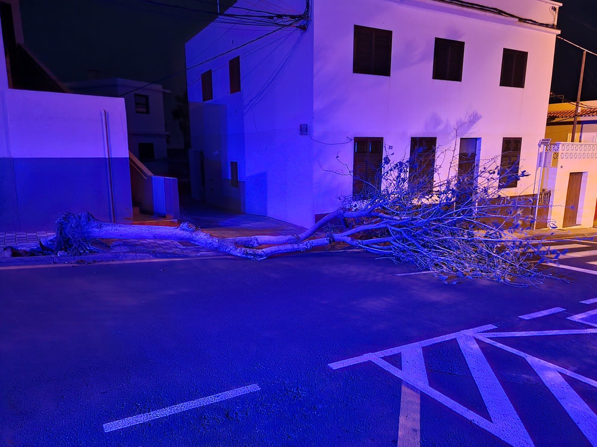 Incidencias por viento en Tenerife.