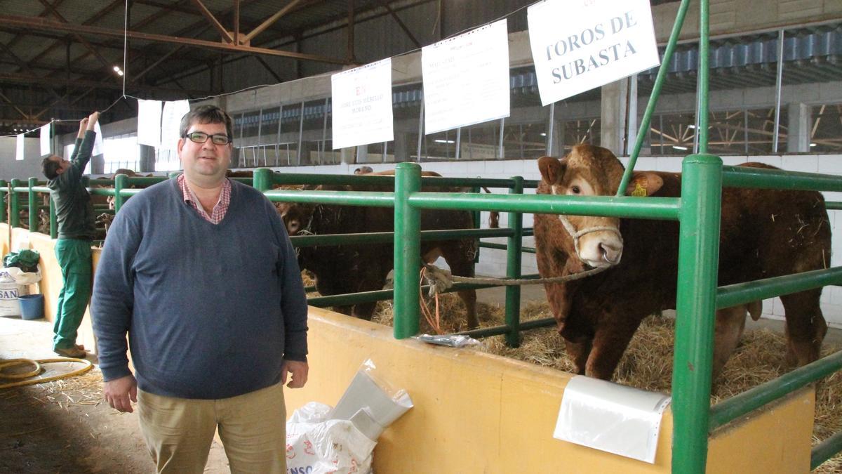 Javier García Calvillo, director técnico de la Federación Española de Criadores de Limusín, en la Feria Agroganadera de Trujillo.