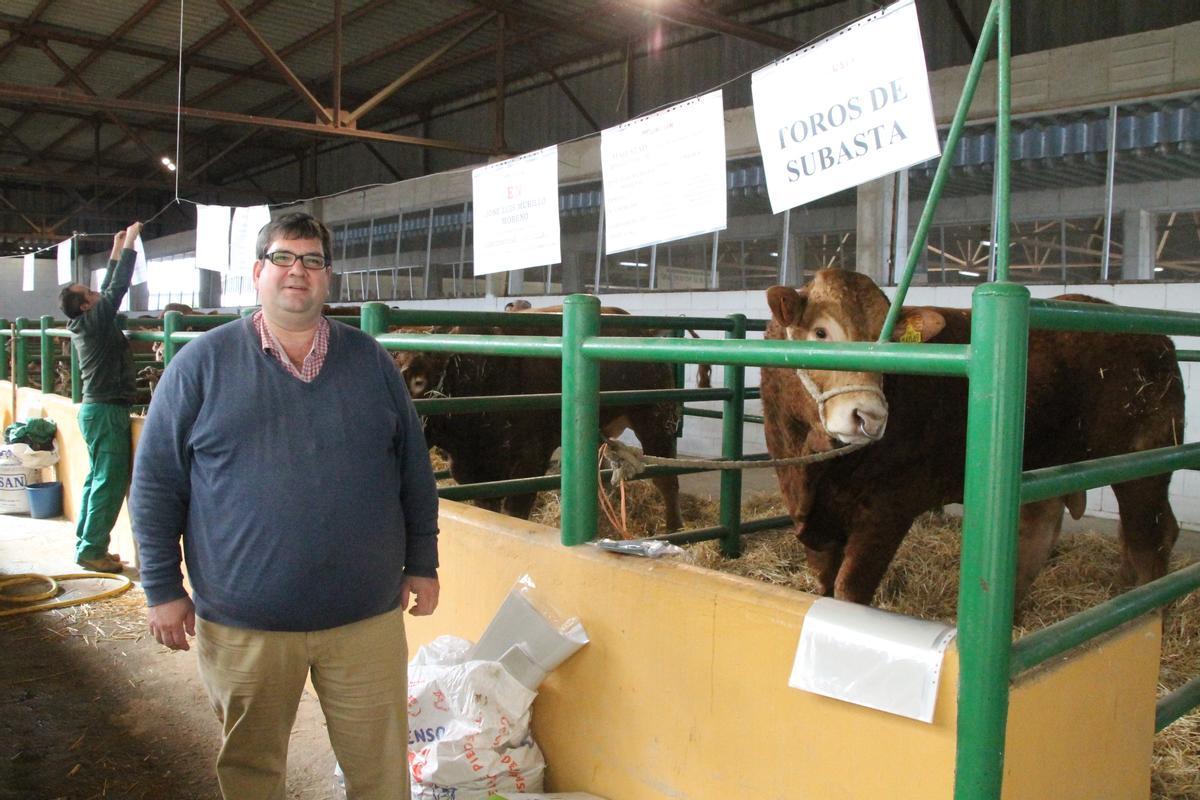 Javier García Calvillo, director técnico de la Federación Española de Criadores de Limusín, en la Feria Agroganadera de Trujillo.