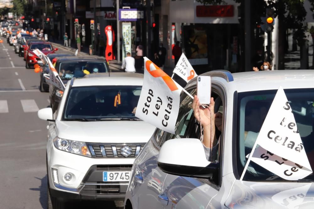 Miles de murcianos protestan en las calles contra la ley Celaá