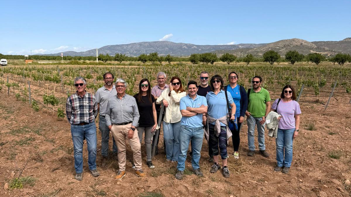 Miembros del Consejo Regulador en la parcela experimental de Monastrell.
