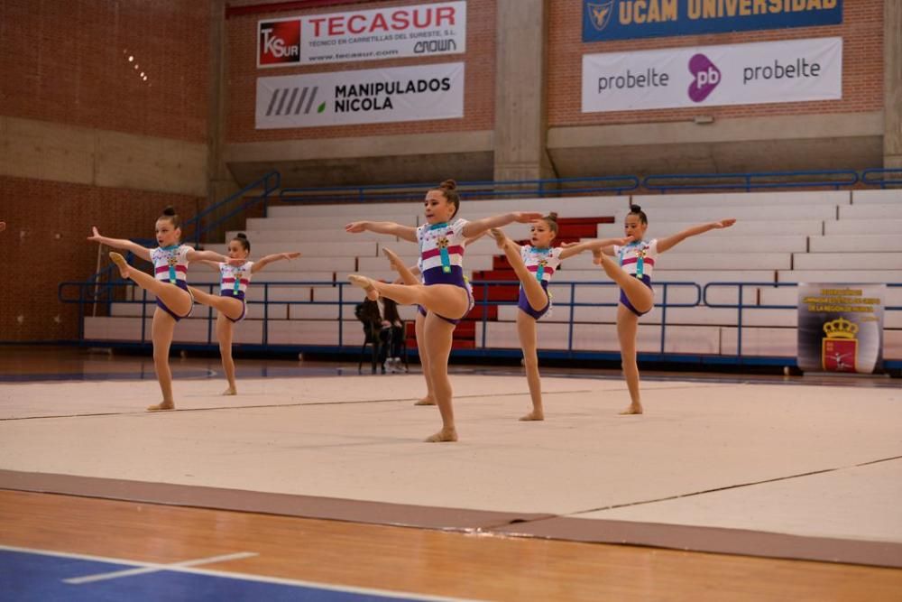 Campeonato Regional de Gimnasia Estética