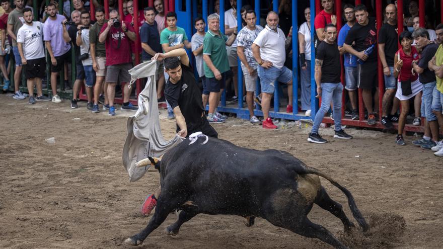 ENCUESTA: ¿Estás a favor o en contra de las celebraciones de &#039;bous al carrer&#039;