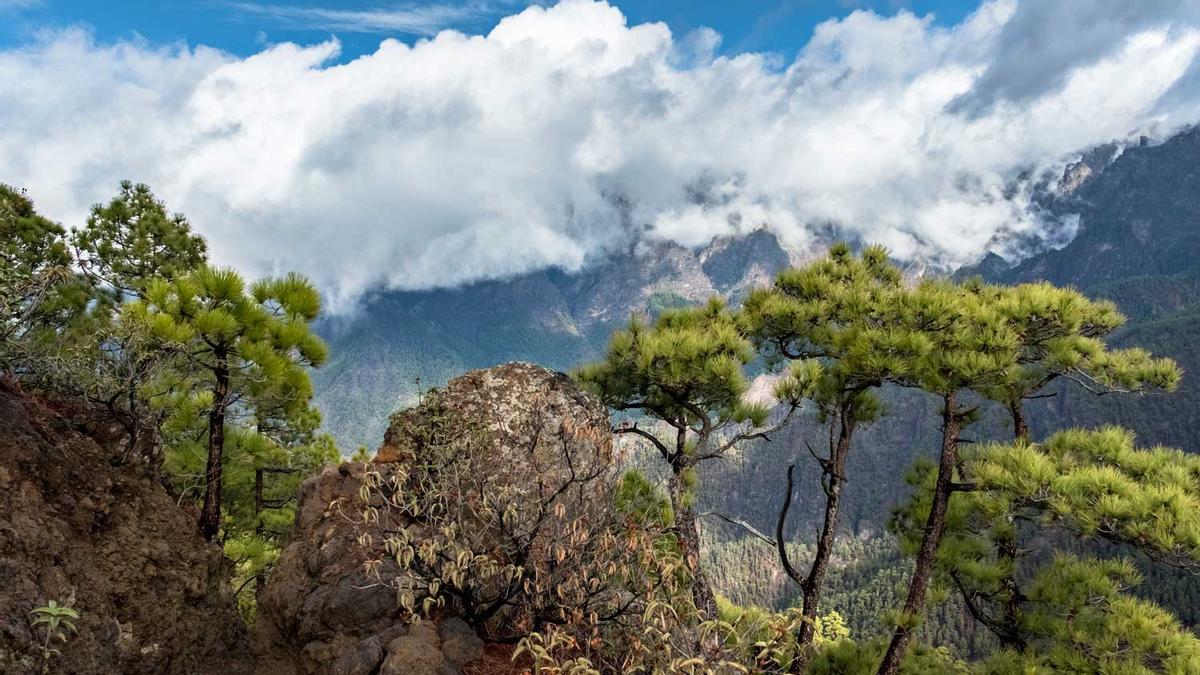 5 lugares de La Palma que no te puedes perder