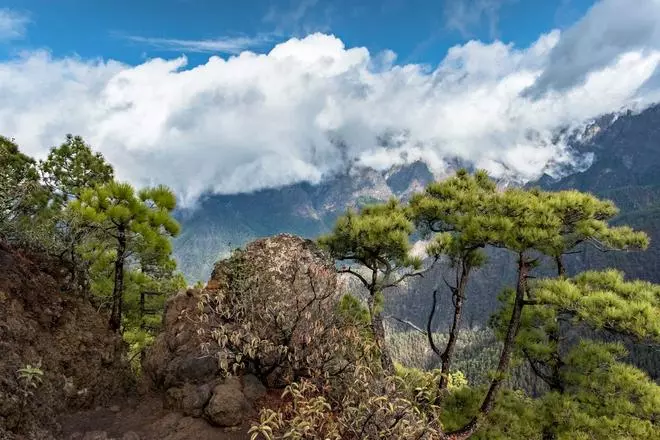 5 lugares de La Palma que no te puedes perder