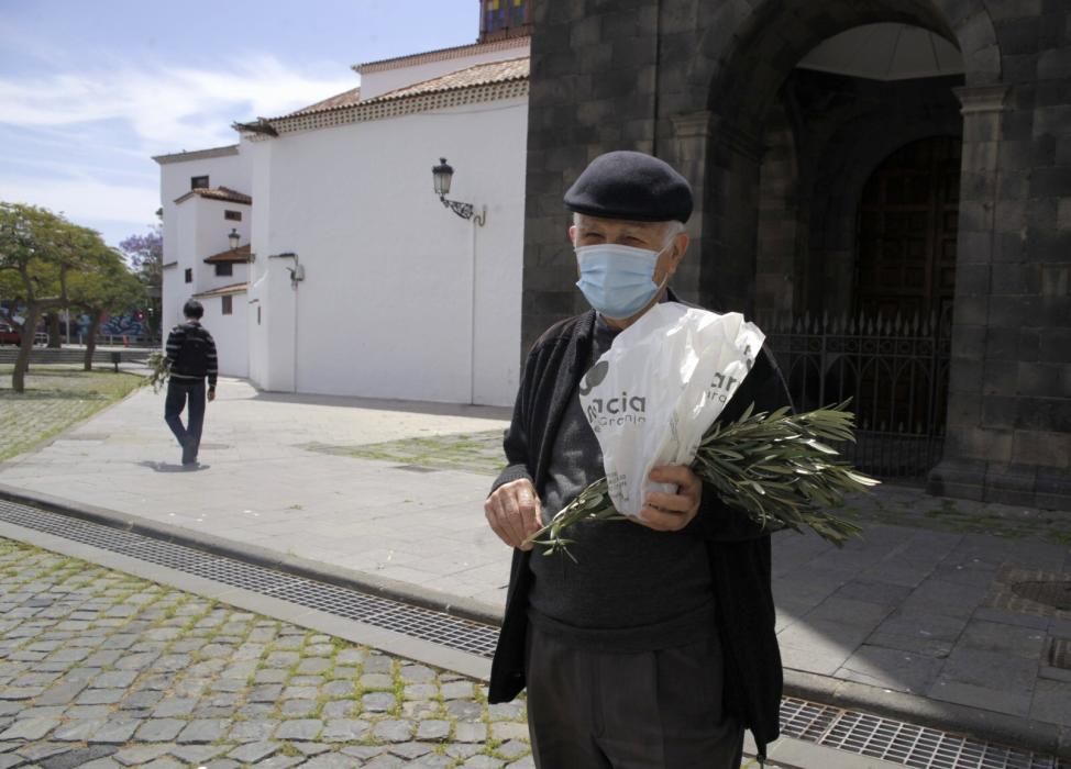 Domingo de Ramos , Semana Santa , Concepción de Santa Cruz y Candelaria  | 05/04/2020 | Fotógrafo: Delia Padrón