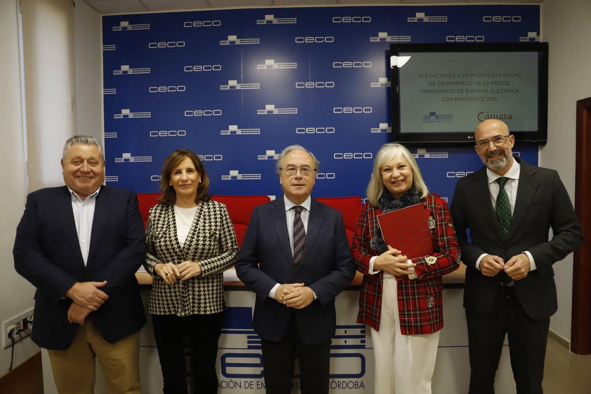 Ceco rueda de prensa: alegaciones a la propuesta principal de desarrollo de la red de transporte de energía eléctrica del horizonte, 2030