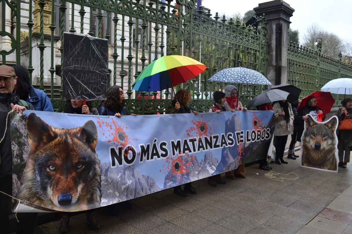 Concentración ante la Junta del Grupo Lobo.