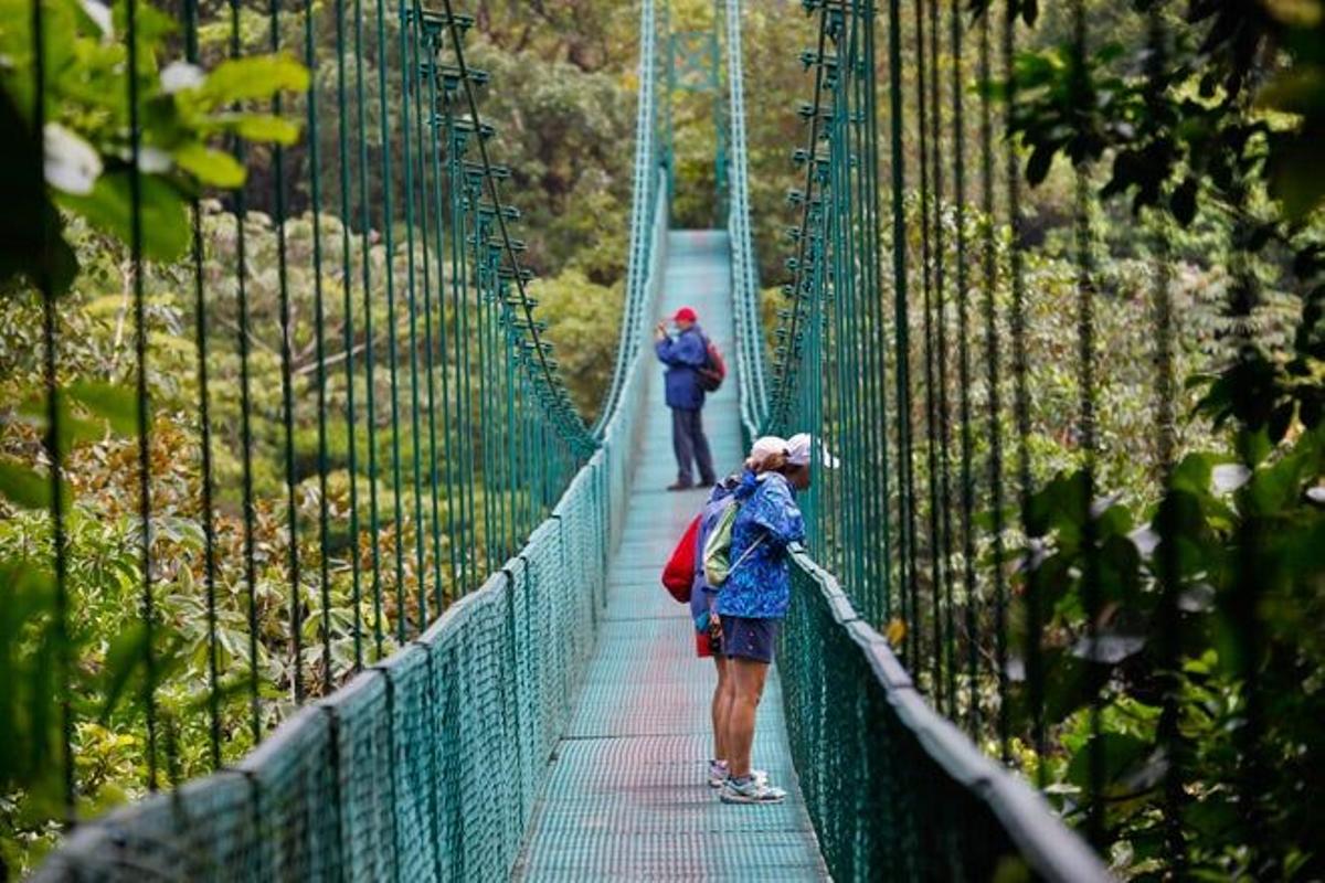 &quot;Canopy&quot; y puentes colgantes en Monteverde