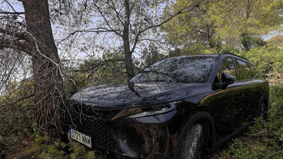 El coche suspendido en una rama al caer cuatro metros del mirador de na Burguesa