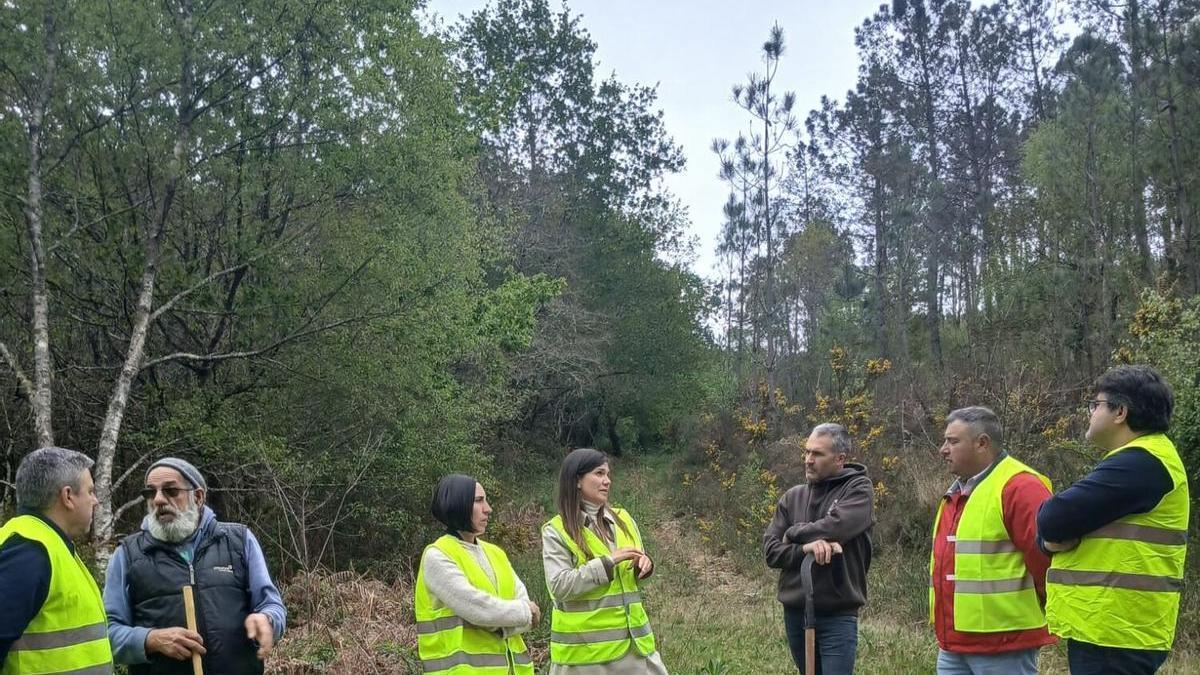 El PSOE reclama mayor seguridad a la altura de la carballeira de San Marcos, en Pardesoa