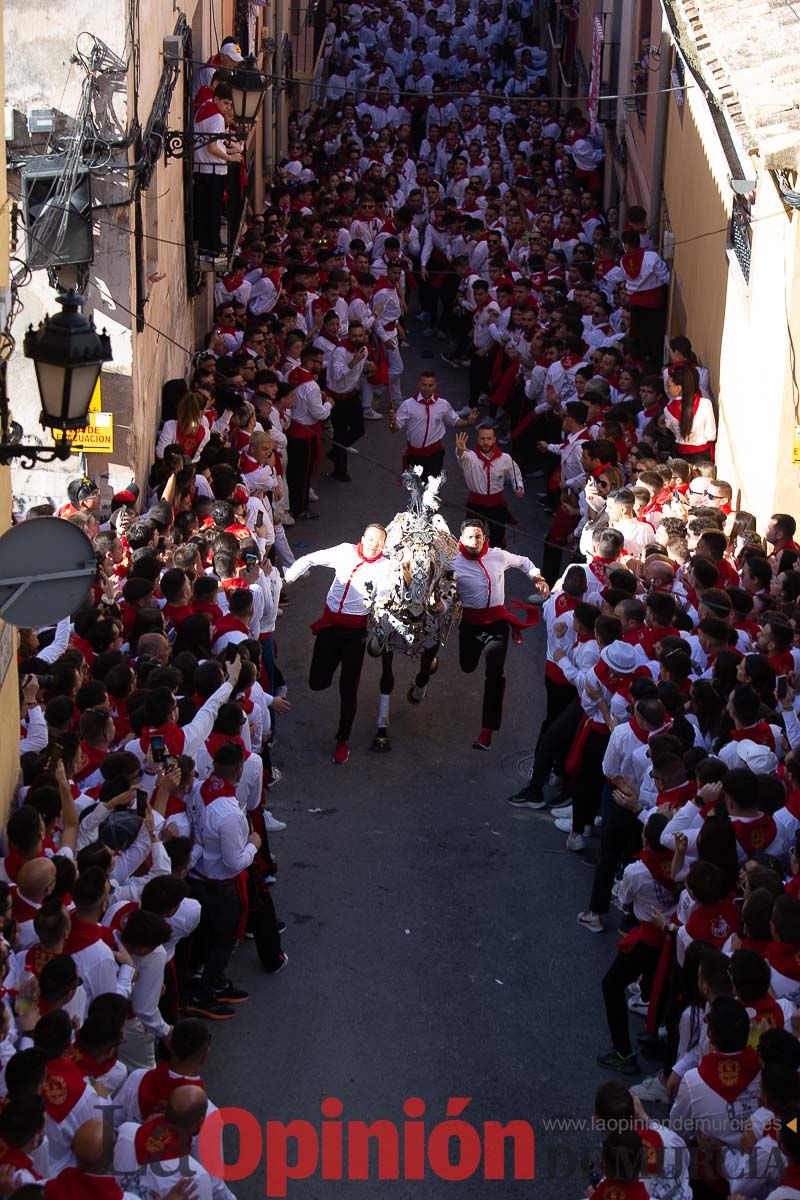 Caballos del Vino en la cuesta de la Simona