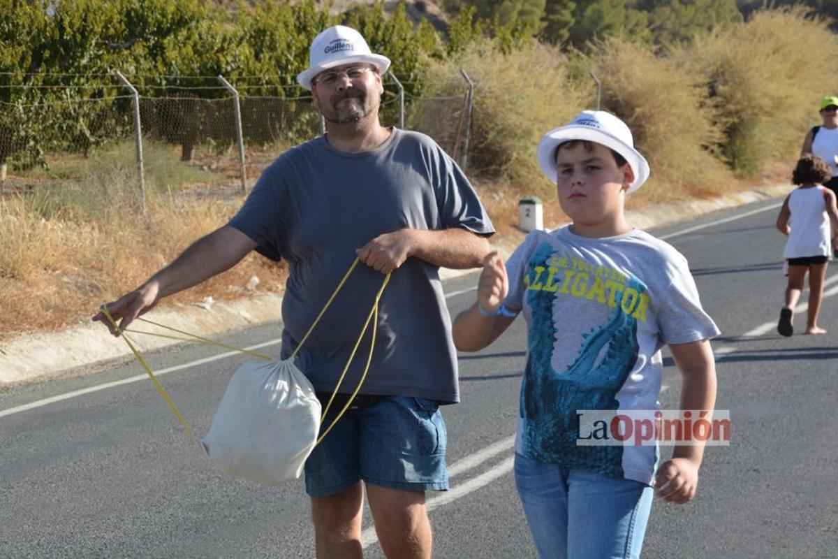 Bajada de la Virgen del Buen Suceso Cieza 2016