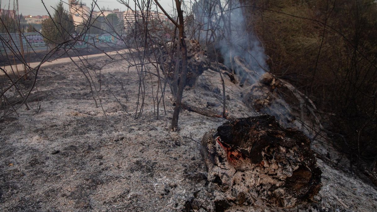 La Comunidad reclama al Gobierno ampliar las zonas declaradas catastróficas por los incendios