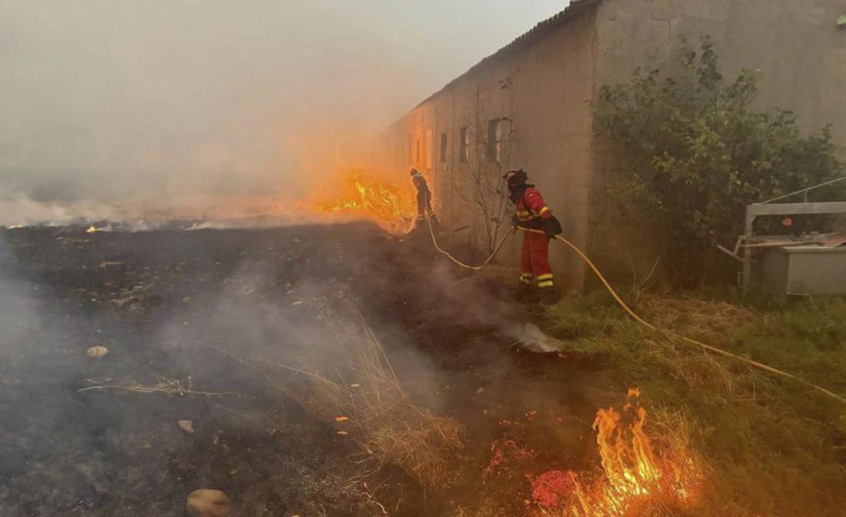 "Urge una política forestal a 20 años"