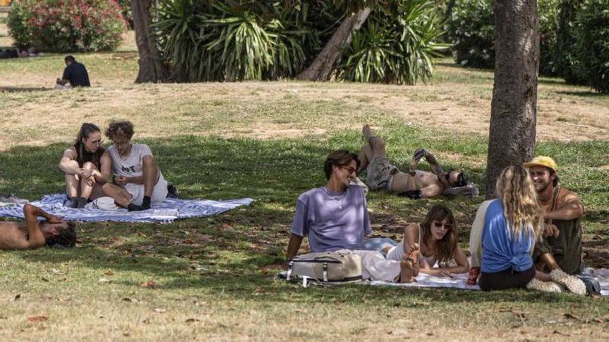 Gent a l’ombra dels arbres de la Ciutadella, el 22 de juny.  | MANU MITRU