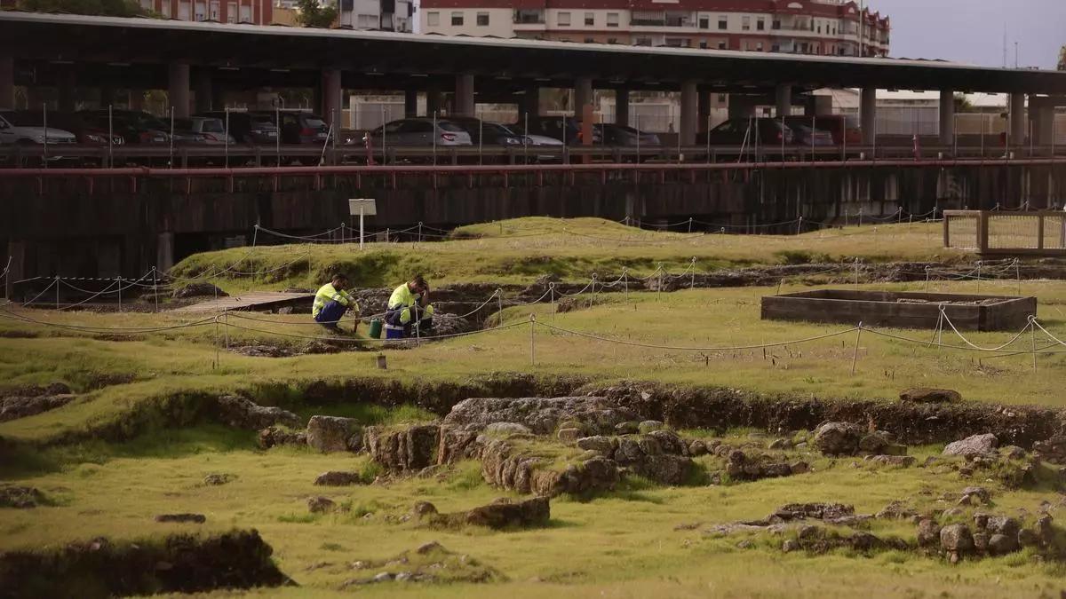 Pistoletazo de salida para hacer visitables Cercadilla y el anfiteatro romano de Córdoba