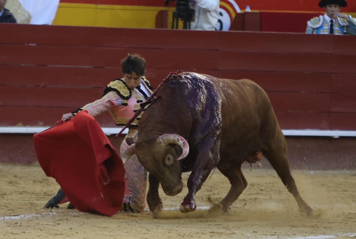 Una tanda de rodillas abrió la fanea de muleta al quinto, el toro al que Roca Rey le cortó una oreja