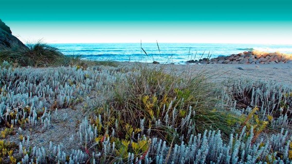 Playa de Foxos