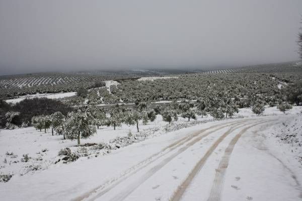 Las fotos de los cordobeses en la nieve