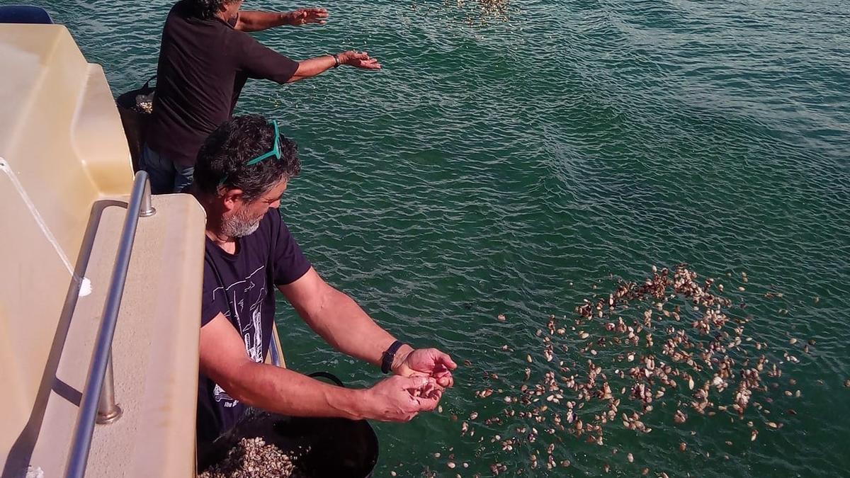 Dos mariscadores a flote arrojan cría de almeja en aguas del banco de O Galiñeiro