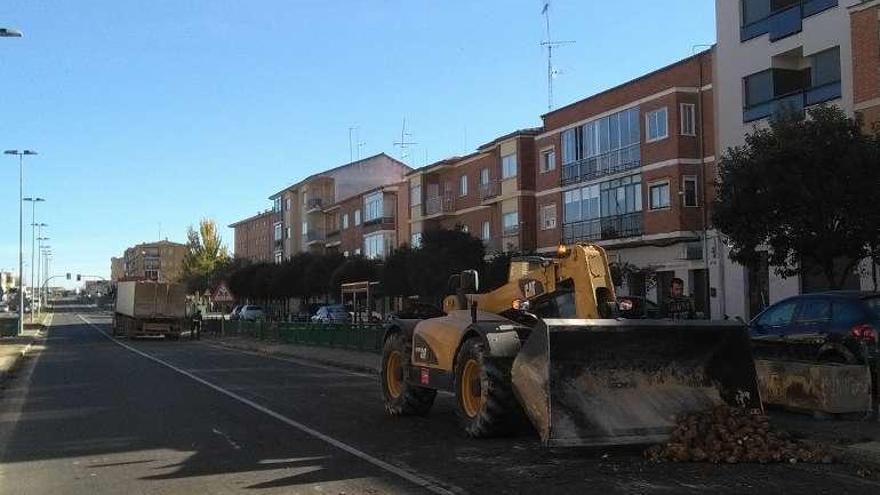 Compañeros ayudan a cargar la remolacha esparcida en la vía.