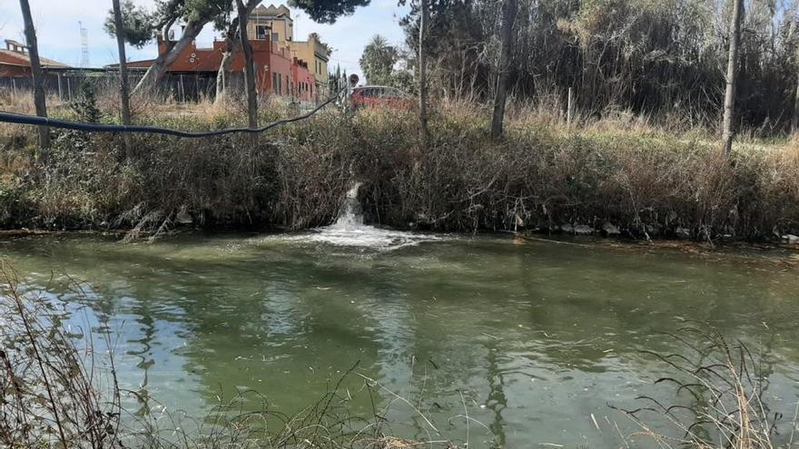 Paraje natural municipal de las aguas del Clot de la Mare de Déu en Burriana.