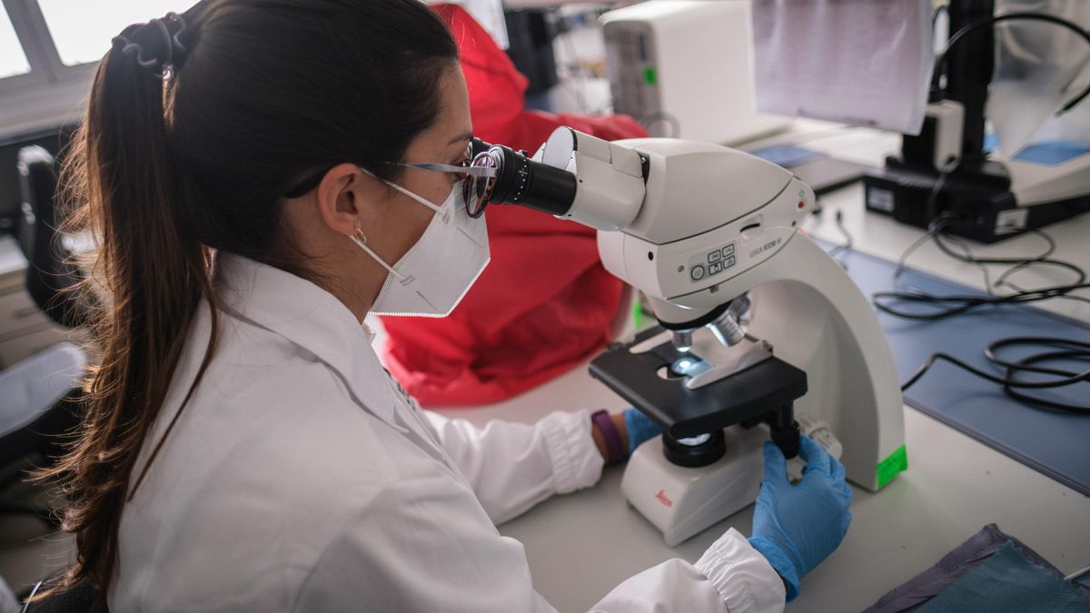 Una investigadora trabaja en laboratorios en las dependencias del Instituto de Enfermedades Tropicales de la ULL.